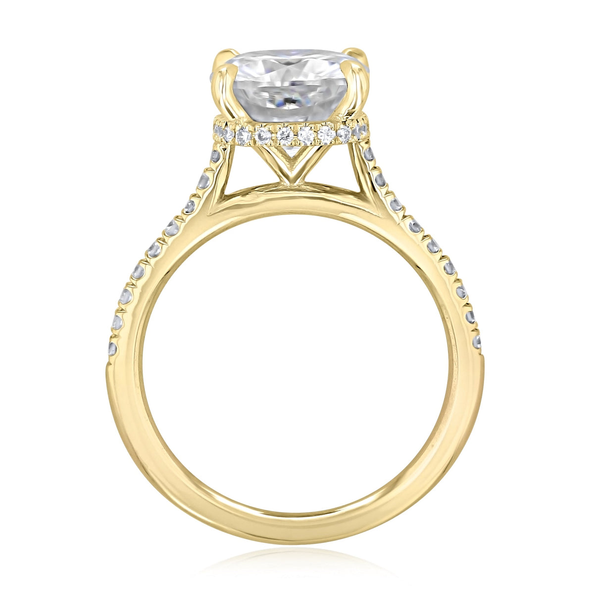 Engagement Rings - Hidden Halo