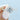 Tacori Petite Crescent | Round Pavé Engagement Ring - HT257215RD7 with a round diamond, pavé halo, and diamond-accented band, held between fingers as a classic proposal ring.